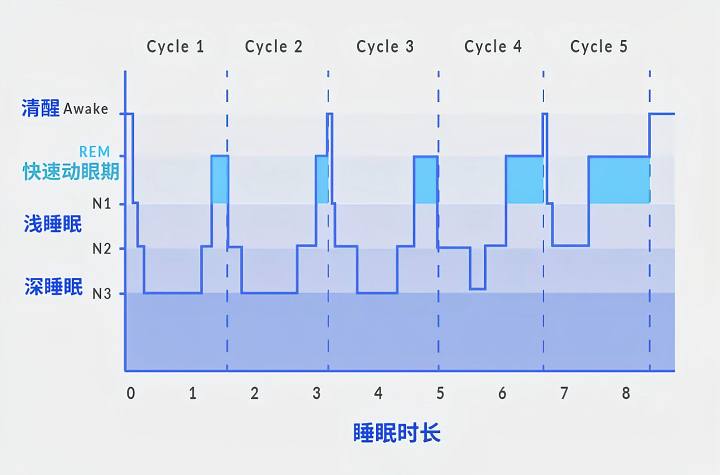 我想告诉你有关手表睡眠检测的一切 来自 月光下的魔術師 – 酷安-白云博客